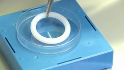 VOICED: South African women at forefront of HIV trials News Clip