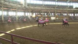Crowds watch Mexican drill riding display News Clip