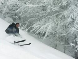 HD Super Slow-Mo: Extreme Backcountry Skiing Stock Footage