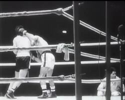 BOXING - WORLD TITLE FIGHT News Clip