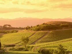 Panorama in Italy countryside Stock Footage