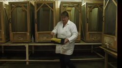 Flies used to create new protein source News Clip