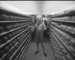 HOLLAND ON TOUR News Clip