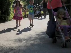 Smithsonian National Zoo Re-Opens After Government Shutdown Stock Footage