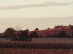 Long shot combine drives down rows of corn harvesting the crop. Stock Footage