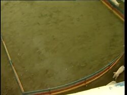 UK Robopet, South Korea Dog Translator, China Pig Olympics, Philippines - Animal fashion show for charity, China Chocolate, US Wedding Cake, Belgium Pillow Fight News Clip