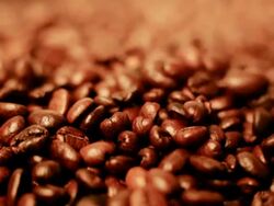 Roasted coffee beans Stock Footage