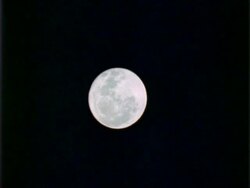 T/L full Moon, black background, WA, Panama. Stock Footage