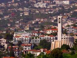Botanical Gardens Stock Footage