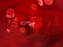 Blood Vessel Loop Static Camera Stock Footage