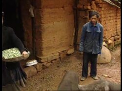 China - Family Fortunes News Clip