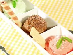 Ice Cream with Waffles Stock Footage