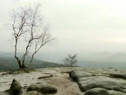WS PAN View of  idyllic landscape of Elbe sandstone highlands / Near Dresden, Saxony, Germany  Stock Footage