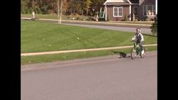 Exploring Communities Rules and Laws Instructional Video