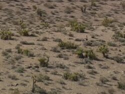 WS AERIAL ZI View of Los Angelesndscape / Nevada, United States Stock Footage