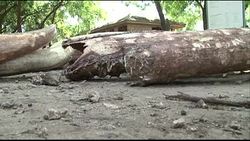 CLEAN : Kenya jails ivory kingpin for 20 years News Clip