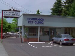 WS ZI View sign of small town Companion Pet Clinic animal hospital / Portland, Oregon, USA Stock Footage