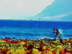 HD 1080i Muizenberg Beach  South Africa boy walking animated effect Stock Footage