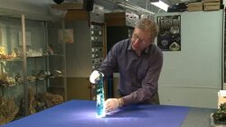 CLEAN : Worlds largest cut aquamarine News Clip