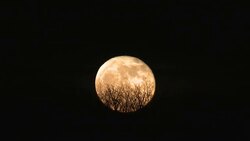 Time Lapse of Full Moon Rising on Halloween Stock Footage