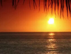 Tropical Sunset Stock Footage