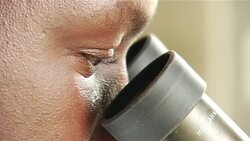 First case of tuberculosis in a wild elephant in Kenya News Clip