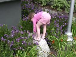 Human Development: Coordination, Learning to Balance Stock Footage