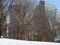Winter Snow Storm Hammers Northeastern US Stock Footage