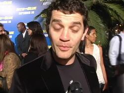 'Into The Blue' Premiere Stock Footage