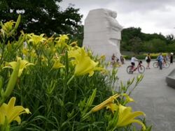 Martin Luther King Jr Memorial In Washington DC Stock Footage