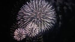Fireworks explode and sparkle in a dark sky. Stock Footage