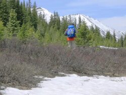 Hiker in the Rocky Mountains Stock Footage