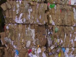 Piles of Cardboard Waste Tilt Up Shot Stock Footage