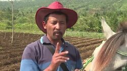 CLEAN : Horseback library serves Indonesia's remote readers News Clip