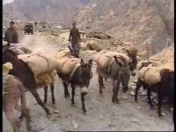 India - Troops patrol India/Pakistan borders News Clip