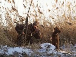 hunter and his dog on the snowy bank of a pond duck hunting Stock Footage