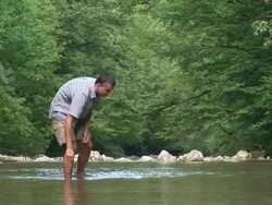 HD: Wading Up The Creek Stock Footage