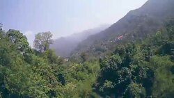 Zip line Adventure Stock Footage