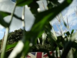 Views Of British Farming Stock Footage