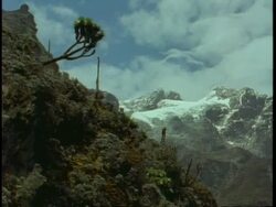 WA scenic of snowy mountain, vegetation covered mountainside in foreground, Uganda, Africa Stock Footage