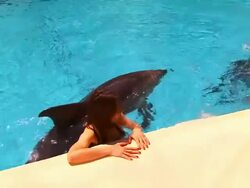Girl and Dolphin Stock Footage