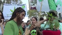CLEAN : Buenos Aires protests for the legalisation of weed cultivation News Clip