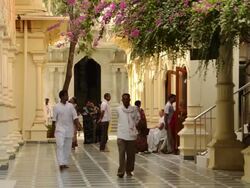 MS Shot of pilgrims in temple at Vrindavan / Mathura, Uttar Pradesh, India Stock Footage