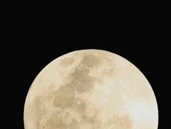 Full moon Stock Footage