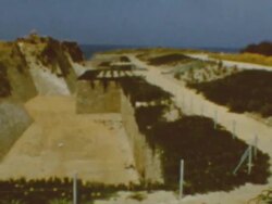 Egged Tours Stock Footage