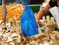 CU Sell of mushrooms at market stall  Stock Footage