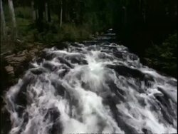 Mountain river flowing over rocks, rapids, under bridge Stock Footage