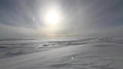 NSF Science Now: Episode 16 Instructional Video