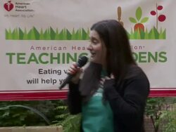 EVENT CAPSULE CHYRON: American Heart Association Teaching Gardens Planting in Harlem Stock Footage