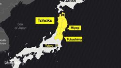 Wine as a Catalyst for Revival in Japan News Clip